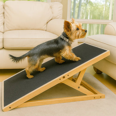 "Elevate Comfort and Safety for Your Beloved Dog"