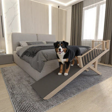 Elevate Your Pet's Comfort and Your Home's Beauty