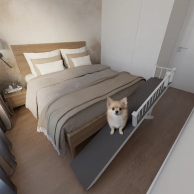 Cuddle Confidently: Elevate Comfort for Your Dog