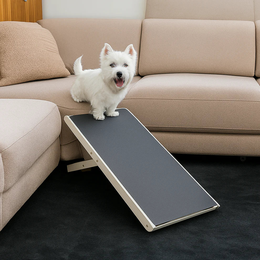 MiniStep™ Dog Ramp